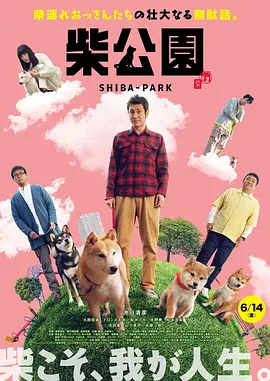 99视频精品全国在线观看