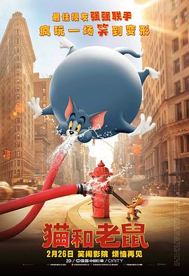 她说的话