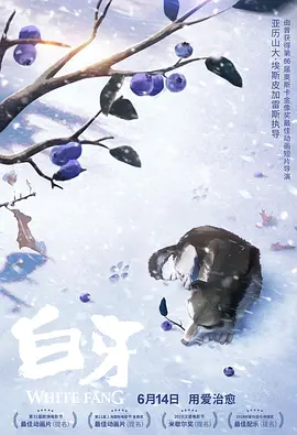 高清中文字幕视频在线播