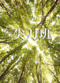 久久伊人网视频